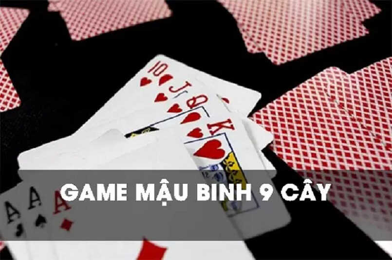 Những thuật ngữ được sử dụng Những thuật ngữ được sử dụng