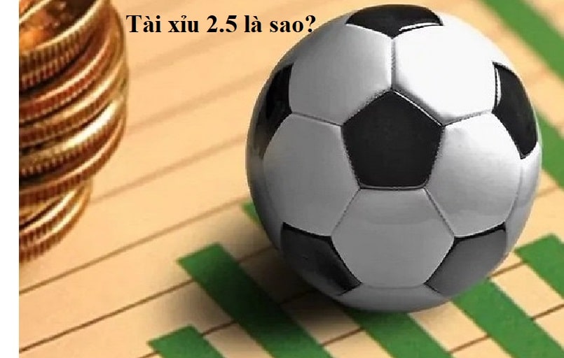 Tài xỉu hai trái rưỡi là sao? Tài xỉu hai trái rưỡi là sao?